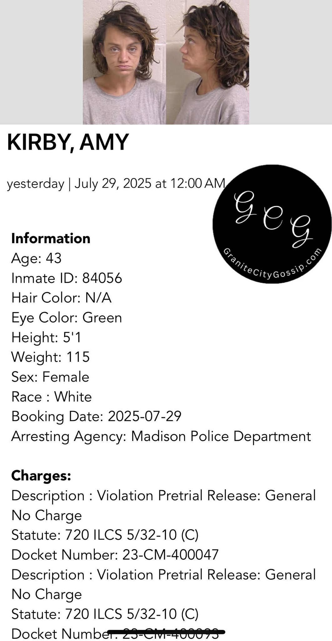 Madison County Illinois Police Blotter – granitecitygossip.com